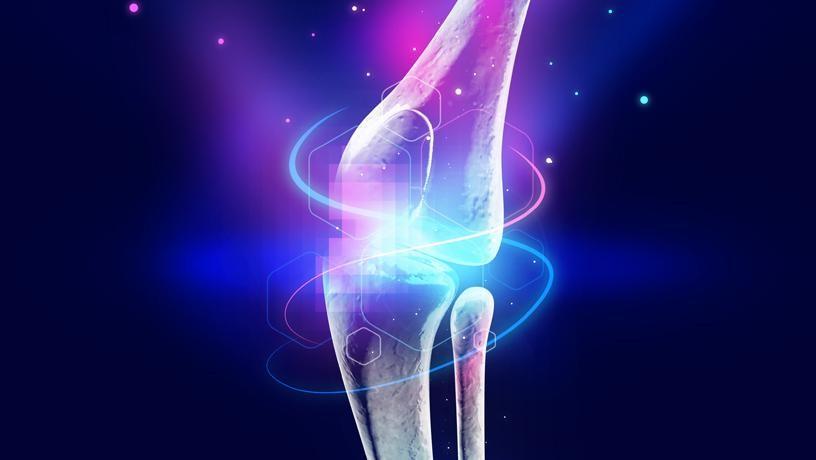 ARPA-H奖励哥伦比亚研究人员近3900万美元用于开发活体膝关节替代物